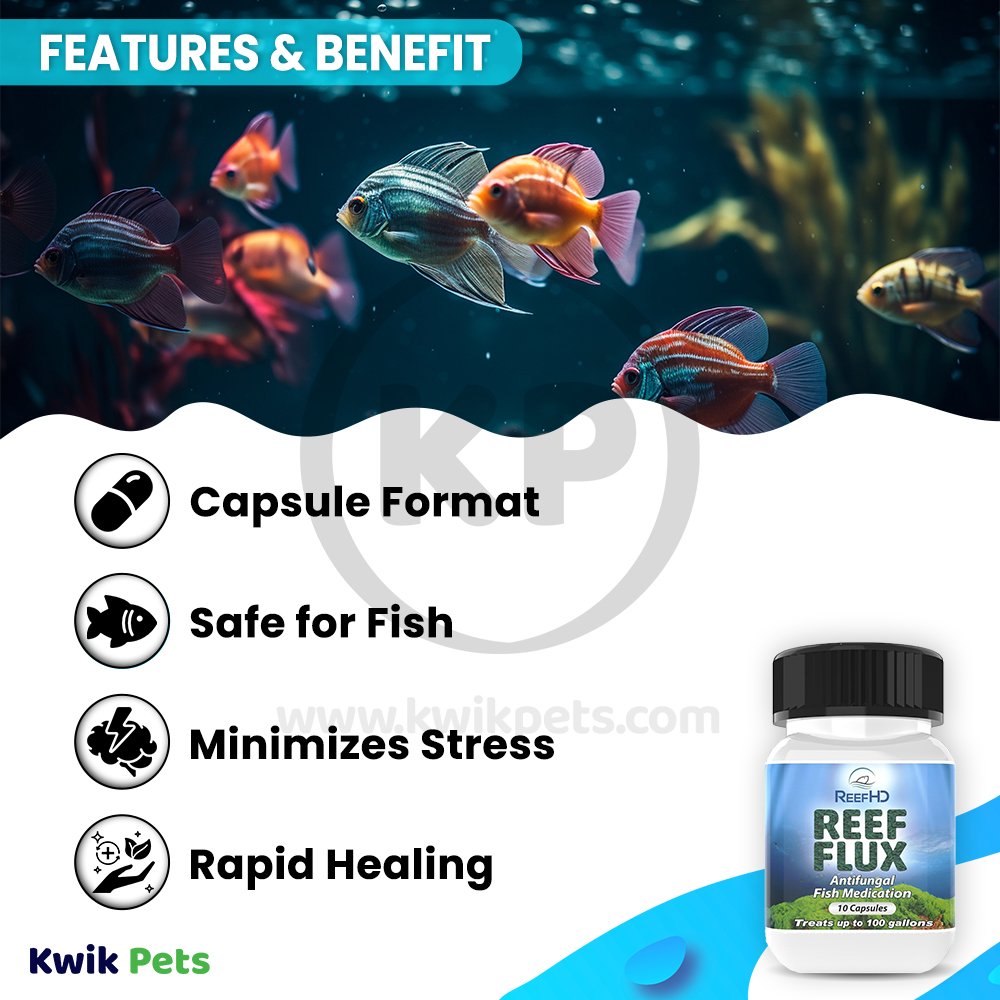 ReefHD Reef Flux Antifungal Fish Medication 10 Capsules