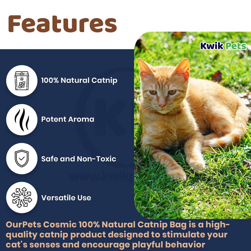 OurPets Cosmic 100% Natural Catnip Jar 3-oz