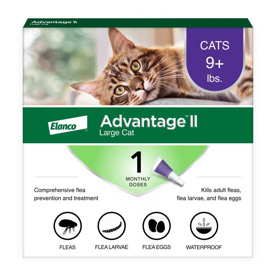 Elanco Advantage II 1-Month Supply Topical Flea Treatment & Prevention for Large Cats Over 9 lbs