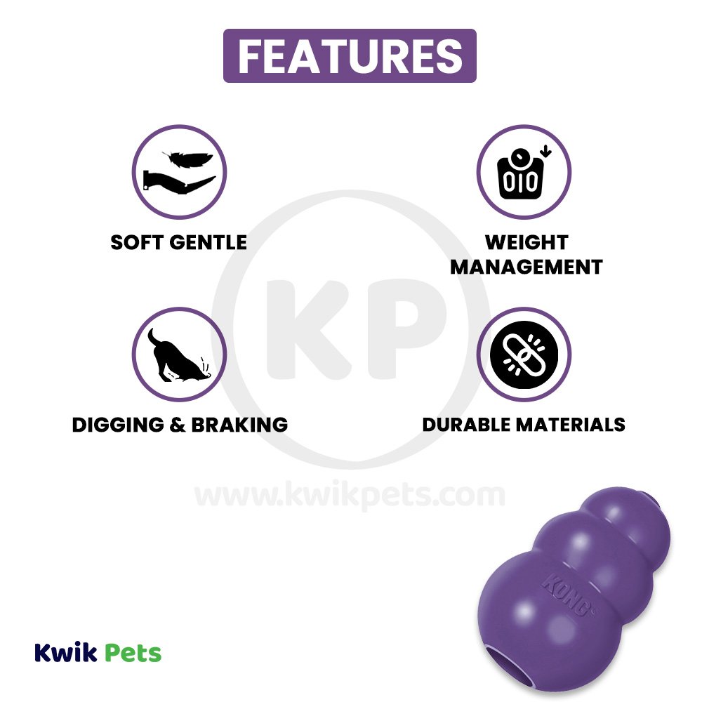 KONG Senior Dog Toy Small